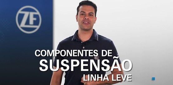 Suspensão Linha Leve | TRW