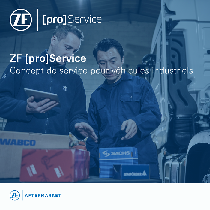 ZF [pro]Service
