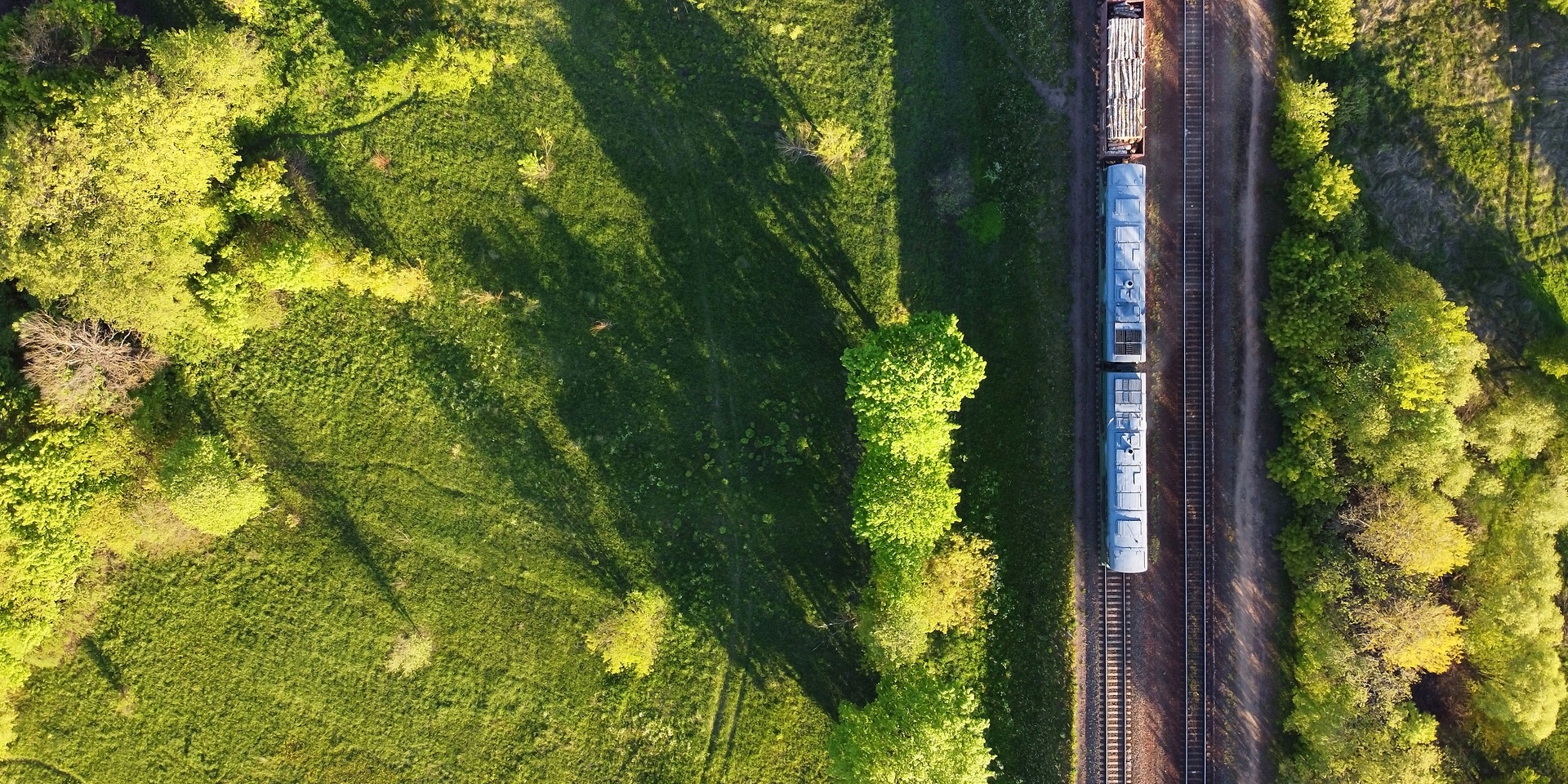 train on tracks surrounded by trees