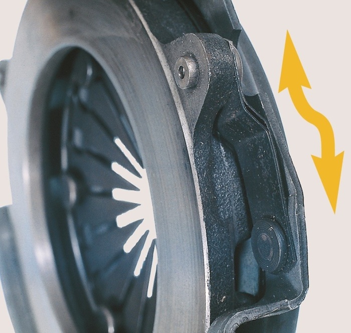 Tangentiële bladveren vervormd