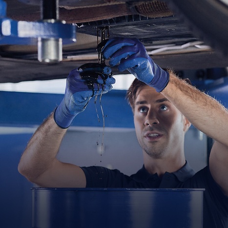 правильна олива