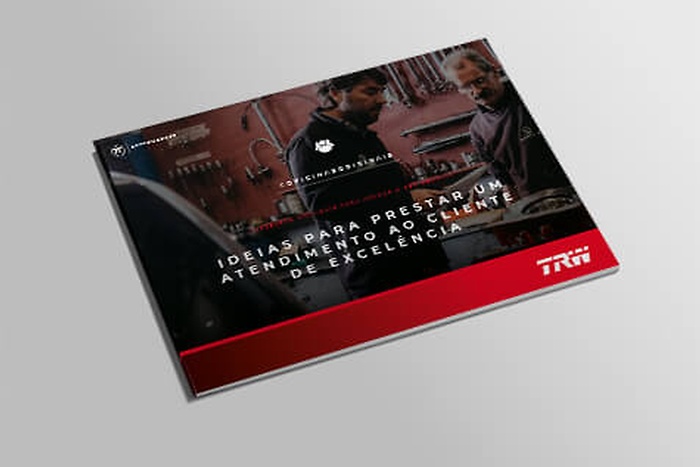 e-book da trw sobre serviço ao cliente 